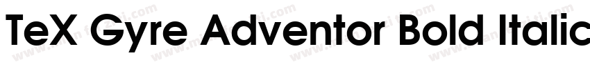 TeX Gyre Adventor Bold Italic字体转换